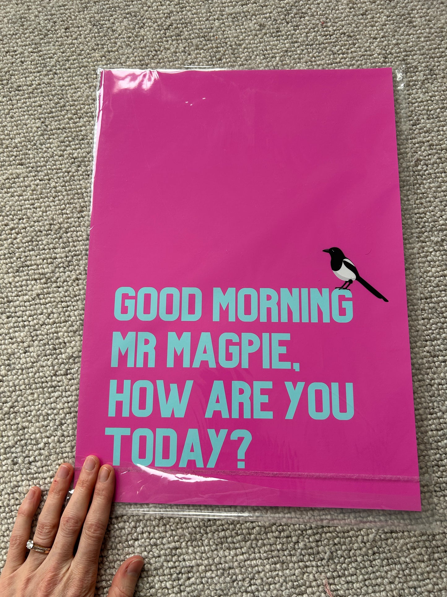 Good morning Mr Magpie how are you today SSF