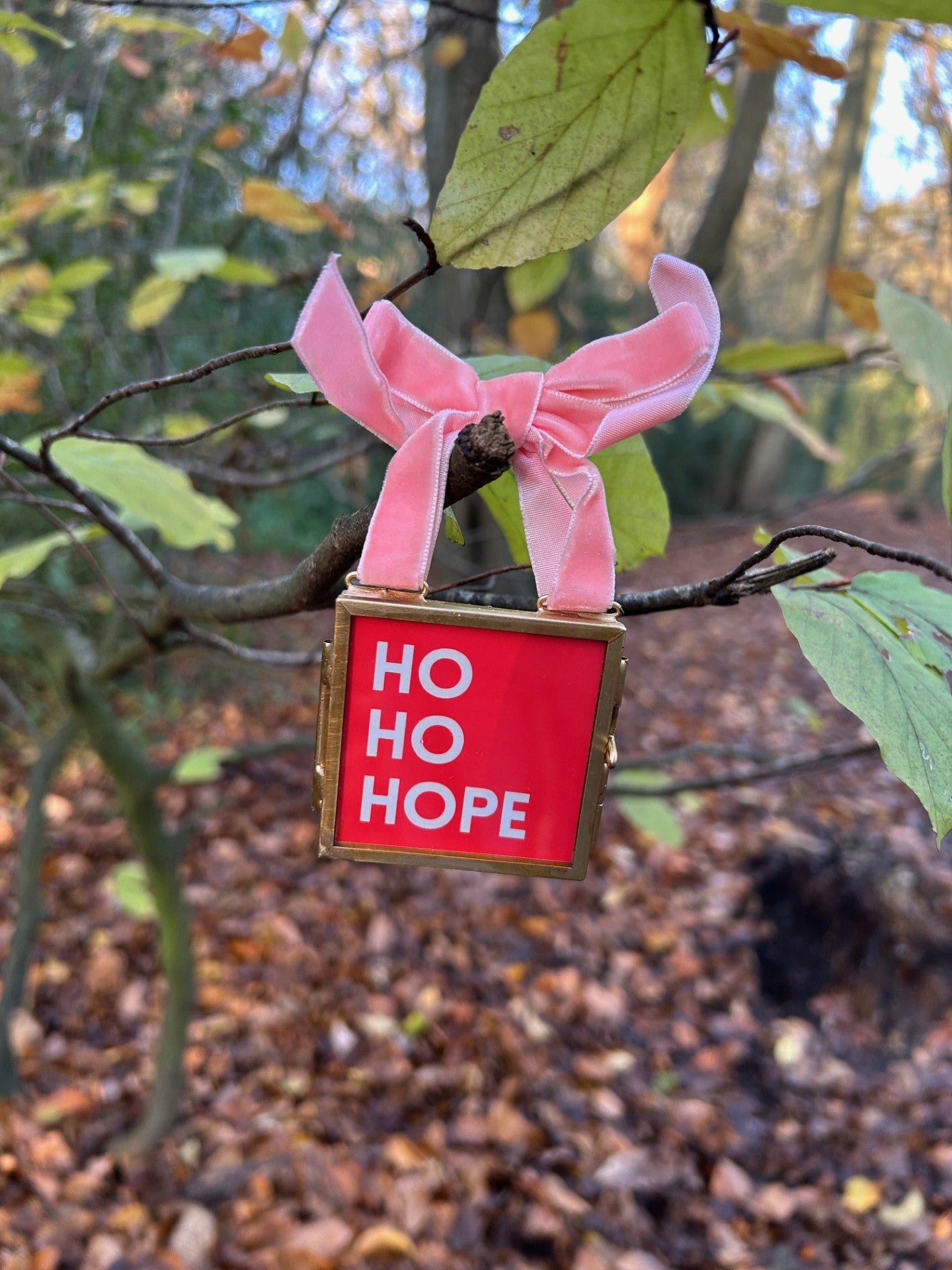 Mini print Christmas tree decorations (includes frame)