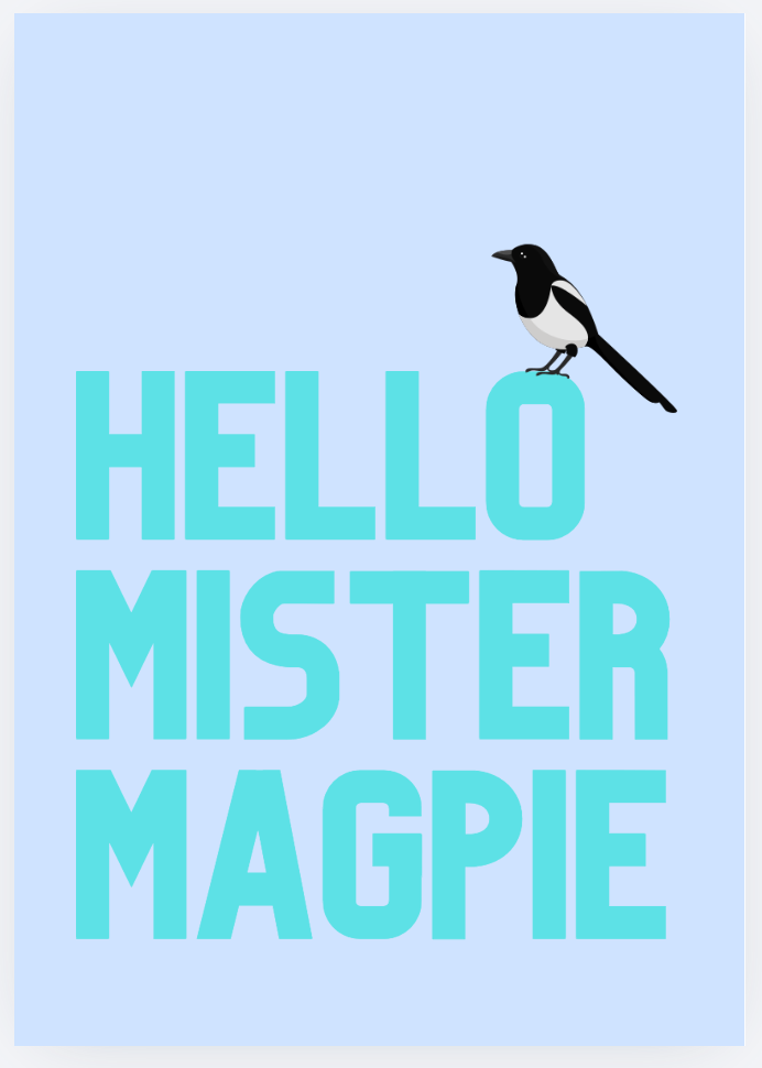 Magpie sitting on writing saying hello mister magpie