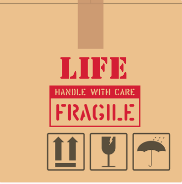 Mini print Christmas tree decorations (includes frame)